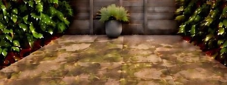 Voor: terrastegels vol groene aanslag